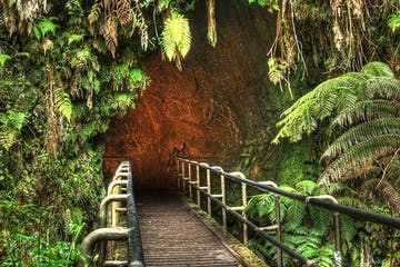 Hawaii-Volcanoes-National-Park-Experience-image-4